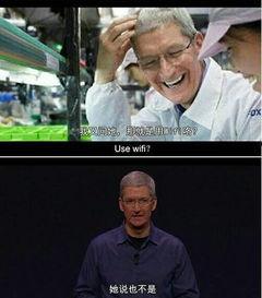 静静的看着吃瓜群众,吃瓜群众的众生相