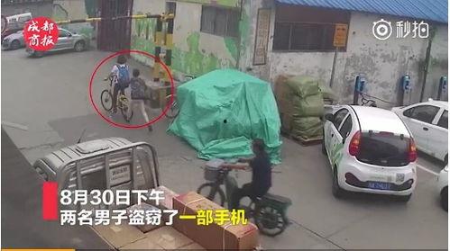 成都吃瓜群众看老鼠,吃瓜群众围观老鼠，一幕幕趣味横生