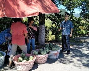 龙山县吃瓜群众,吃瓜群众热议，揭秘当地生活百态