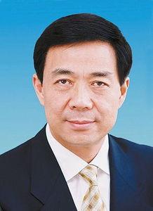 吃瓜群众王玮简历照片,简历照片背后的故事