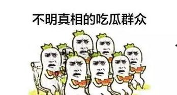 吃瓜群众来发言,吃瓜群众视角下的娱乐圈风云录