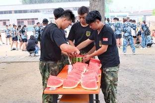 衡水吃瓜群众事件,揭秘网络舆论的风暴与反思