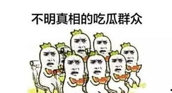 吃瓜群众的招牌是什么,揭秘网络热议背后的招牌现象