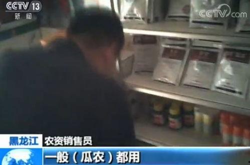 吃瓜群众城市的夜晚