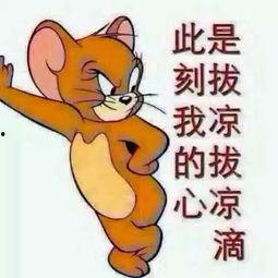 八卦吃瓜群众合集图片,吃瓜群众八卦合集大揭秘