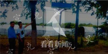 吃瓜群众被刑拘视频,刑拘视频引发社会热议