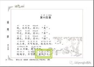 吃瓜群众主修课程,揭秘网络舆论场中的课程与智慧